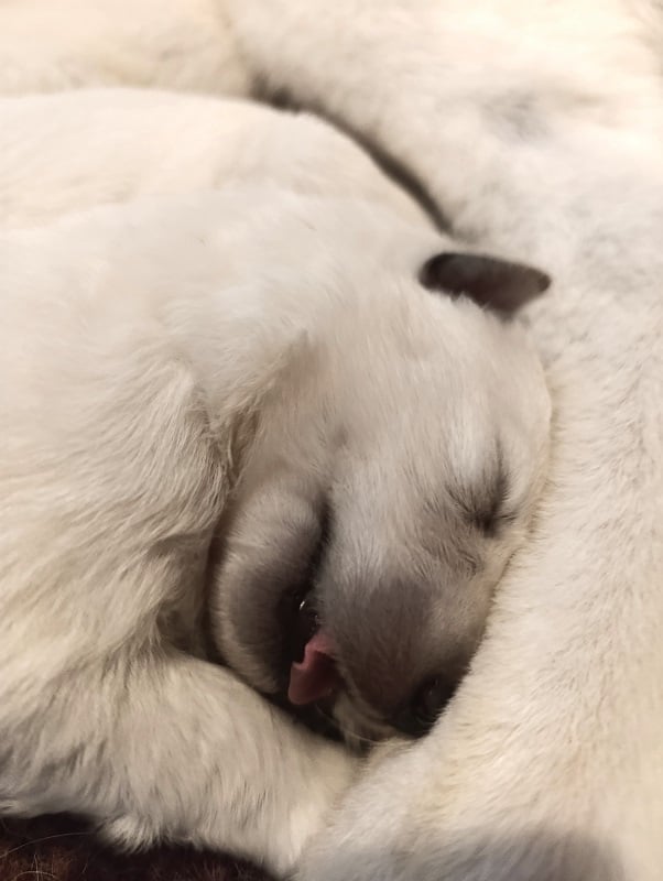 Kuscheln bei Mama