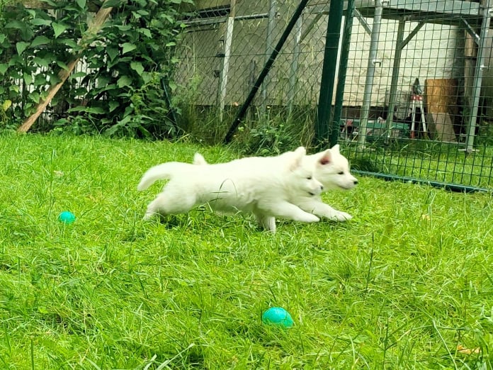 Im Garten