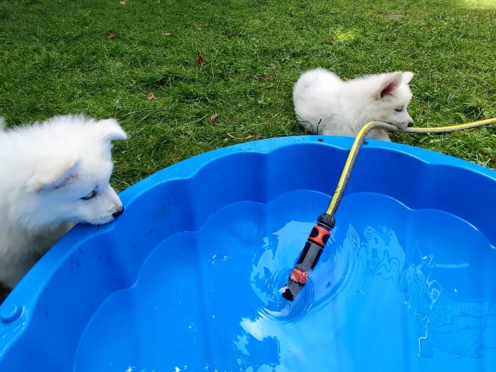 Der Pool wird befüllt