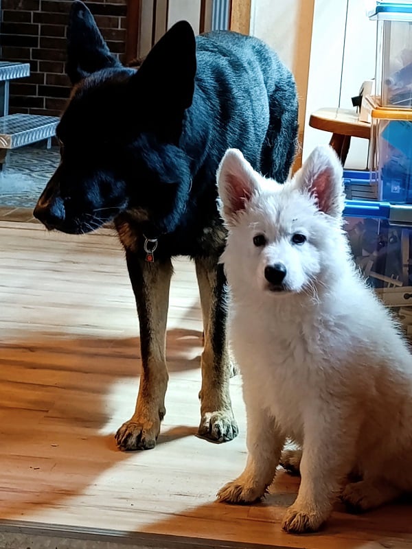 Anouk und Elea