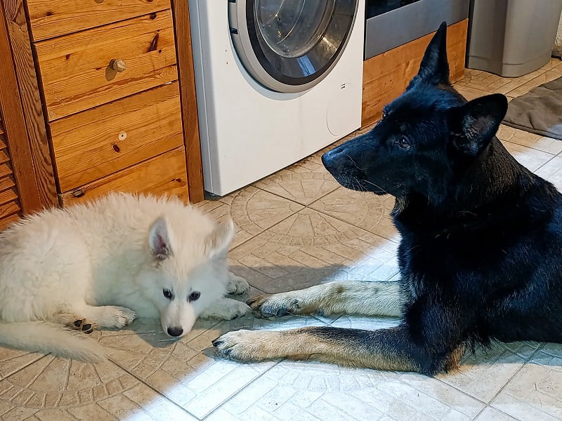 Anouk und Elea
