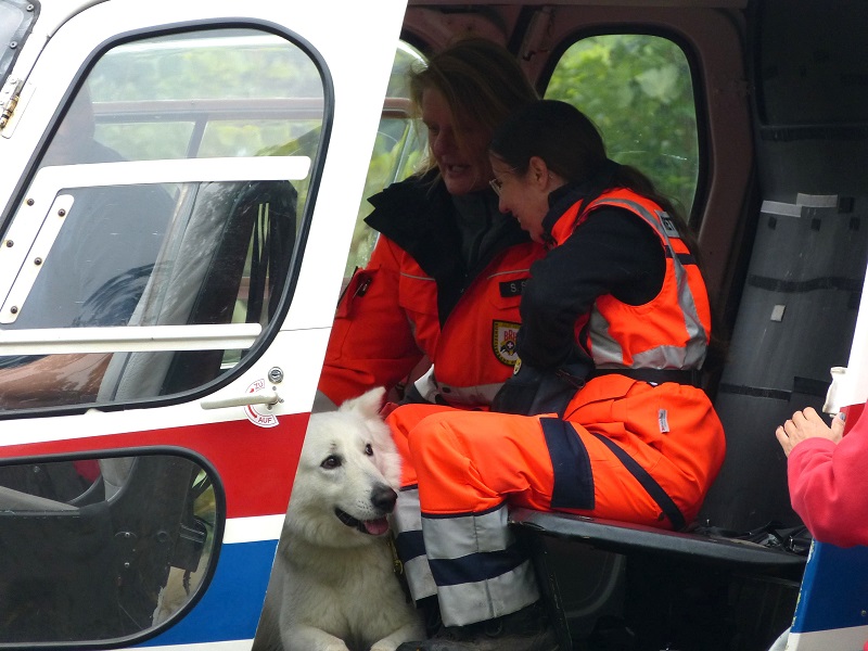 Shamrock Shepherds Donnerwetter und Sabrina Wagoun beim Hubschraubertraining