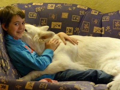 Donnerwetter im Kuschelmodus