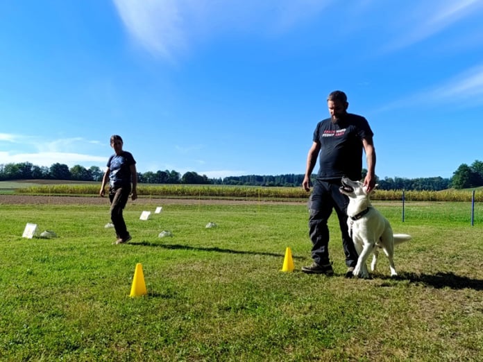 Schnuppertraining RO