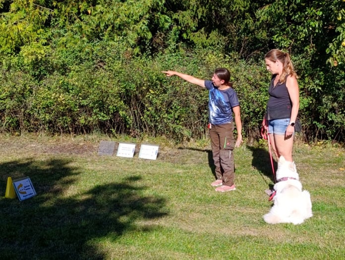Schnuppertraining RO