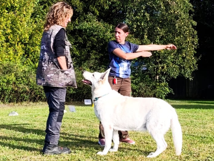 Schnuppertraining RO