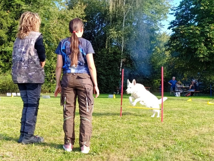 Schnuppertraining RO