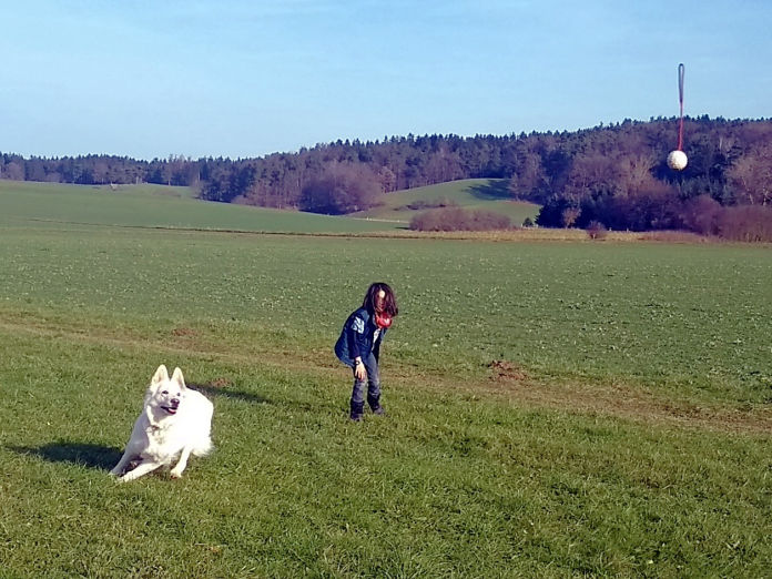 Simon und Donner spielen Ball